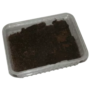 1/2 L. TROPISKE SPRINGHALER