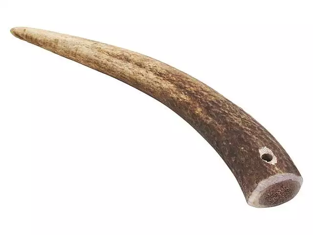 TIKKI GEVIR, HEL - BILLEDE 2