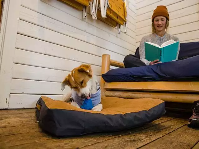 RUFFWEAR GNAWT-A-CONE, BLUE POOL - BILLEDE 3
