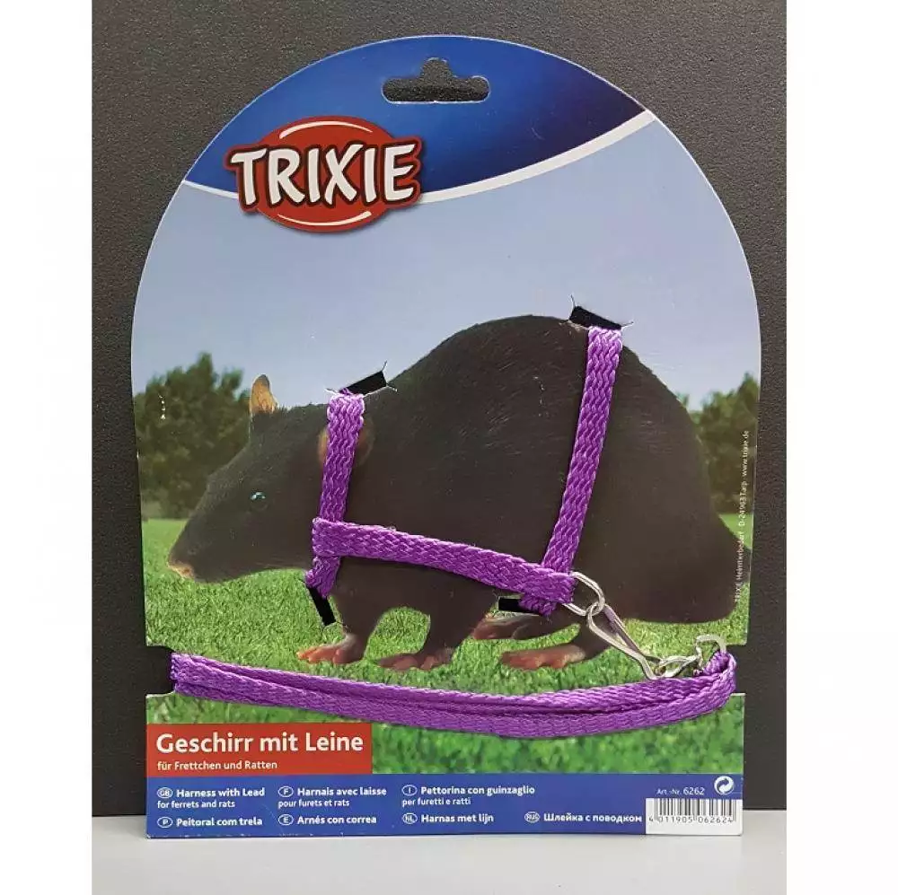 6262