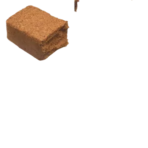 COCO HUMUS
