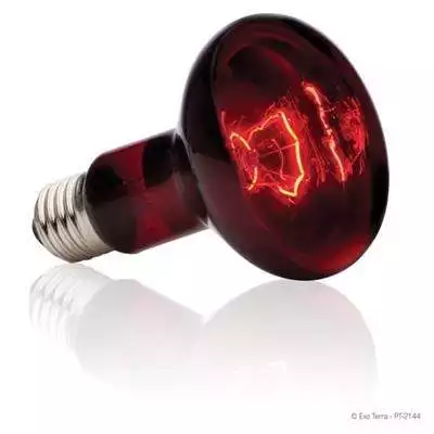 HEAT GLO INFRAReD SPOT 100 p