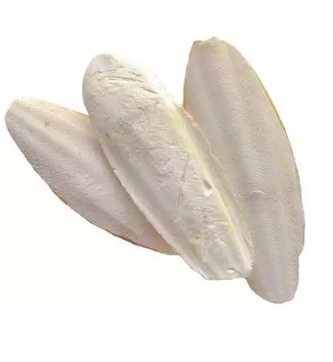 SEPIA SKALLER - BILLEDE 3