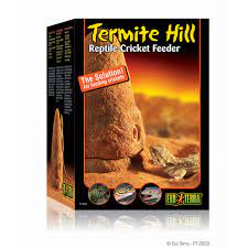Termite Hill Exoterra