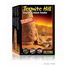 Termite Hill Exoterra