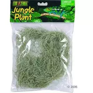 EXO TERRA Spanish Moss  Large