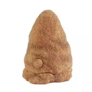 Termite Hill Exoterra