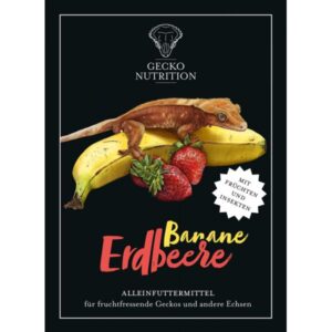Gecko Nutrition Banan/Jordbær