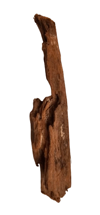 B1