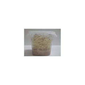 Store Bananfluer 1/2L