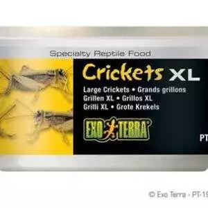 ExoTerra Fårekylling 34 g.