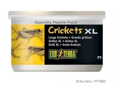 EXOTERRA FÅREKYLLING 34 G.