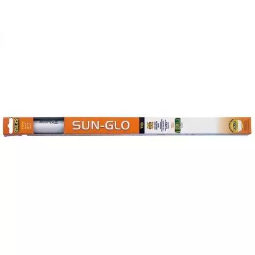 neonroer Sun Glo lysroer Kopi