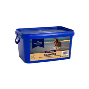 D&H Seaweed – Havalger