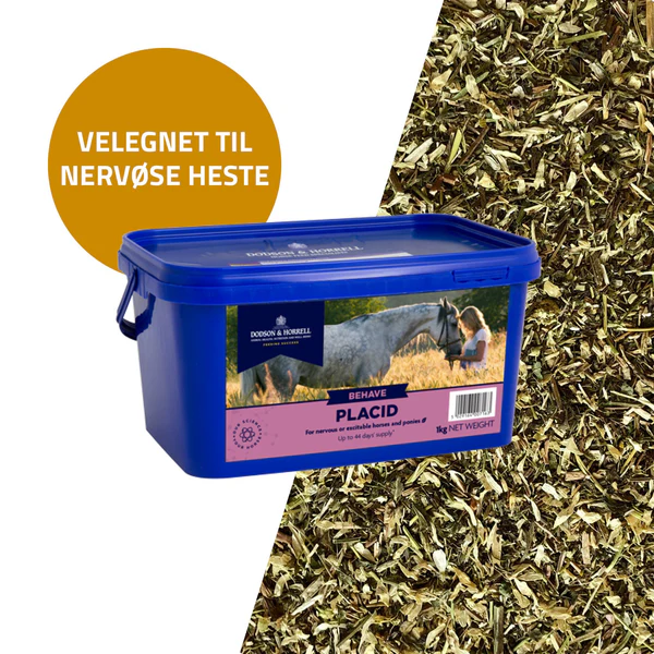 D&H PLACID 5 D&H PLACID - BILLEDE 3