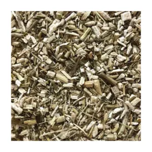 D&H Echinacea