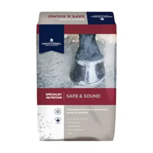 D&H Safe & Sound