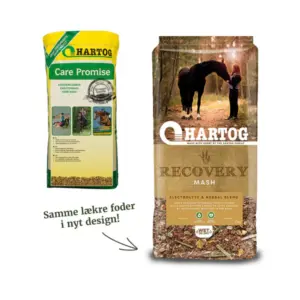 Hartog Mash