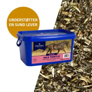 D&H Milk Thistle – Marietidsel