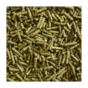 Digestive Support