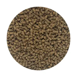 D&H Cush Care Condition