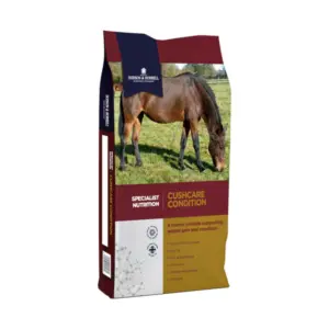 D&H Cush Care Condition