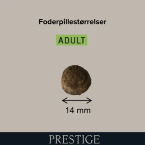 Prestige Adult Medium 15kg