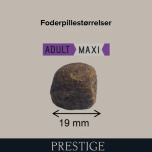 Prestige Adult Maxi 15kg