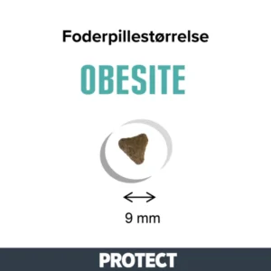 Protect Obesite 2kg