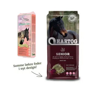 Hartog Senior Lucerne