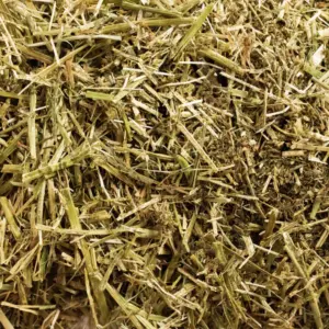 Brogaarden Ω Lucerne