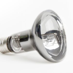 RepTech compact D3 Mercury vapor lamp (80 watt, UVA + UVB + heat)