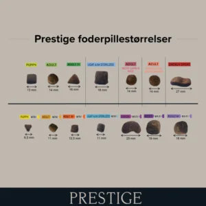 Prestige 6+ Maxi 15kg