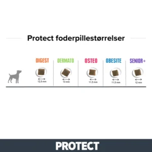 Protect Obesite 12kg