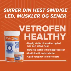 Vetrofen Healthy 360g