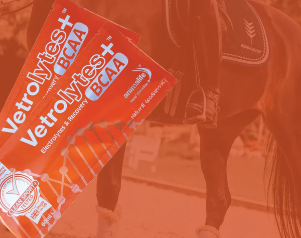 VETROLYTES 60 ML 3 VETROLYTES 60 ML - BILLEDE 2