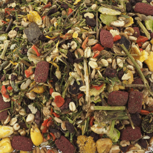 Nature land botanisk snack med urter