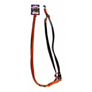 KW Rainbow Dressurline 10mm x 220cm