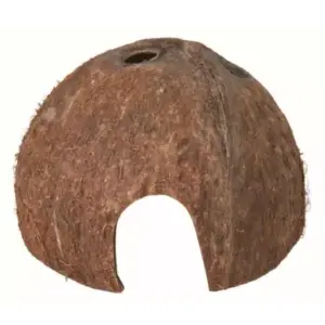 Kokosnød hule medium
