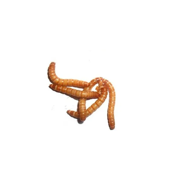 BESTILLINGSVARE - ALM. MELORME - MELORME 100G
