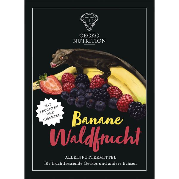 GECKO NUTRITION BANAN/SKOVFRUGT 100 G. 2 GECKO NUTRITION BANAN/SKOVFRUGT 100 G.