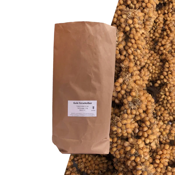 HIRSEKOLBER GUL - 1 KG 2